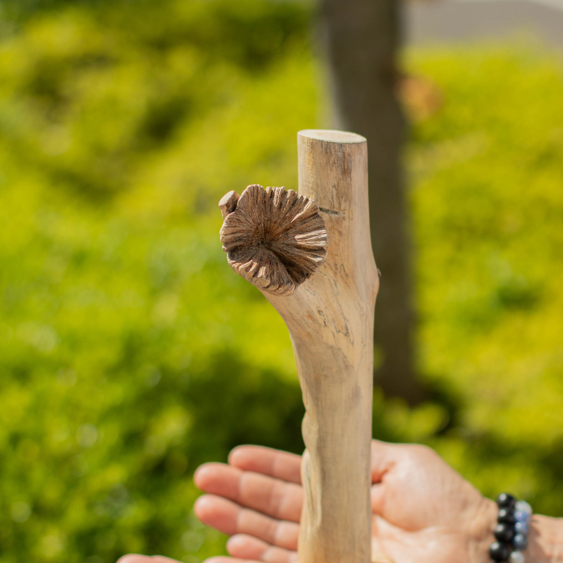Greenman Handmade Parasite Wood Carving5