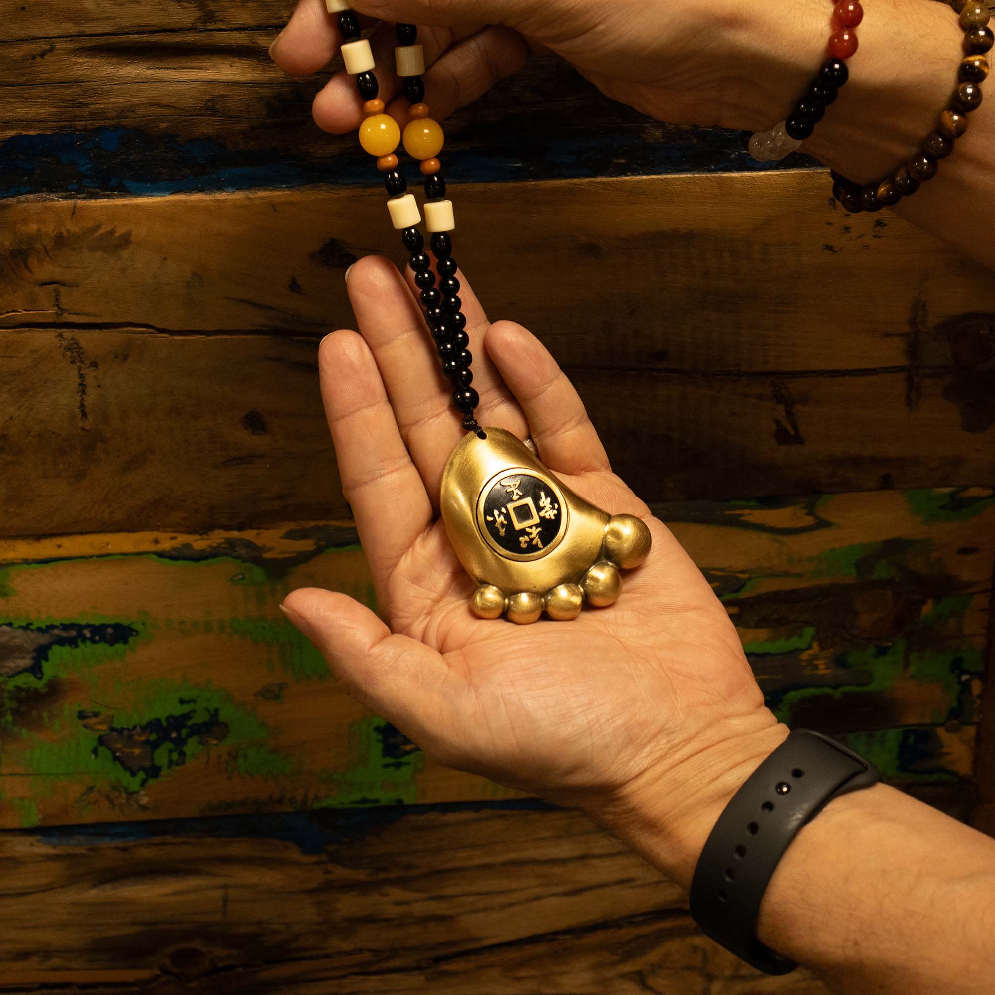 Solid Brass Feng Shui 'Step to Wealth' Amulet2