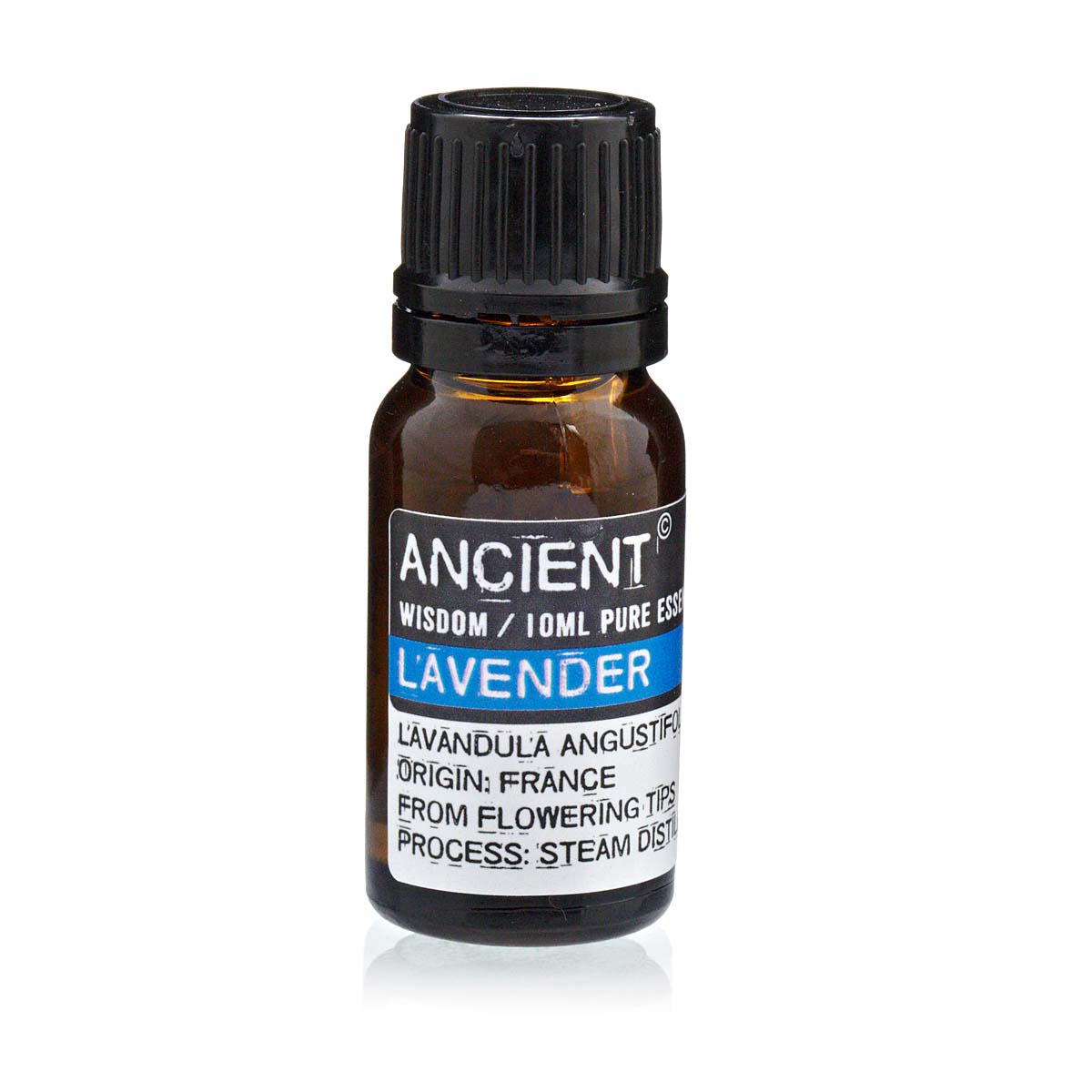 The Palma Tranquillity Bundle: Shell Atomiser & Essential Oil Trio5