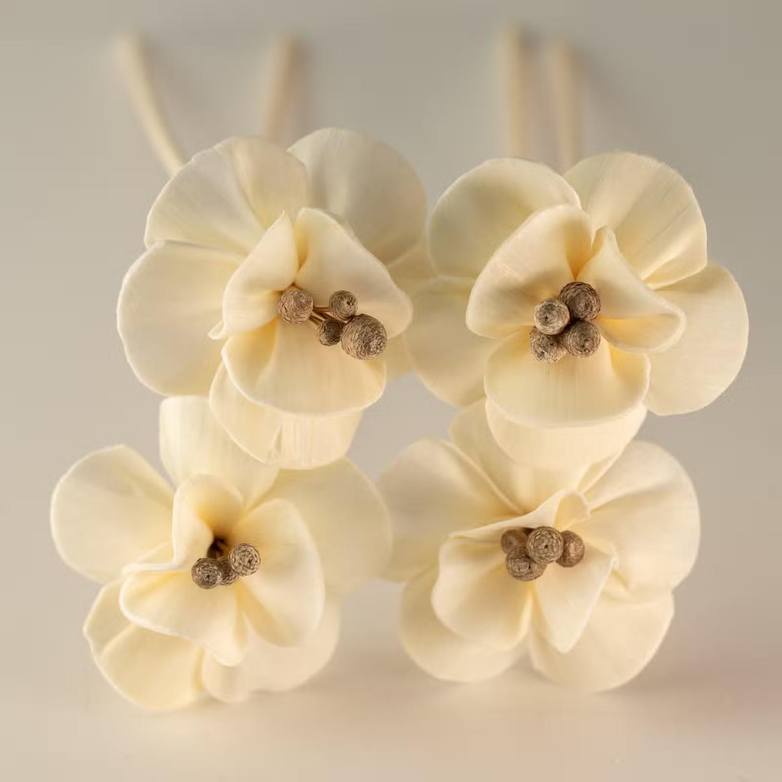 Natural Sola Wood Lily Diffuser Flowers on Reed (Set of 4)1