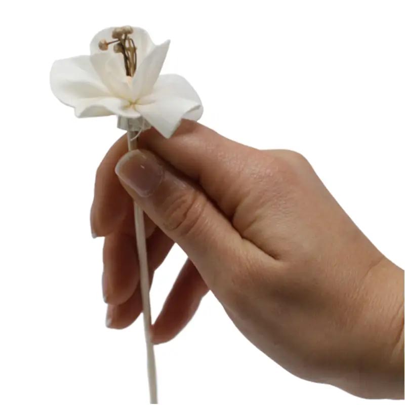 Natural Sola Wood Lily Diffuser Flowers on Reed (Set of 4)3