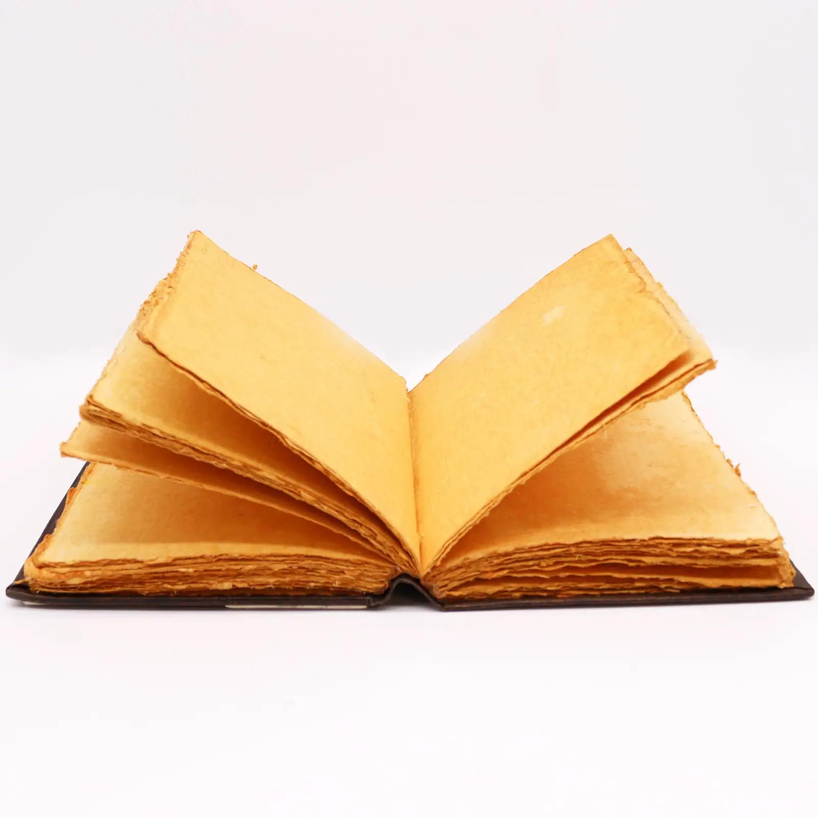 Hefty Red Tan Leather Journal with Zinc Rose (26x18cm)2