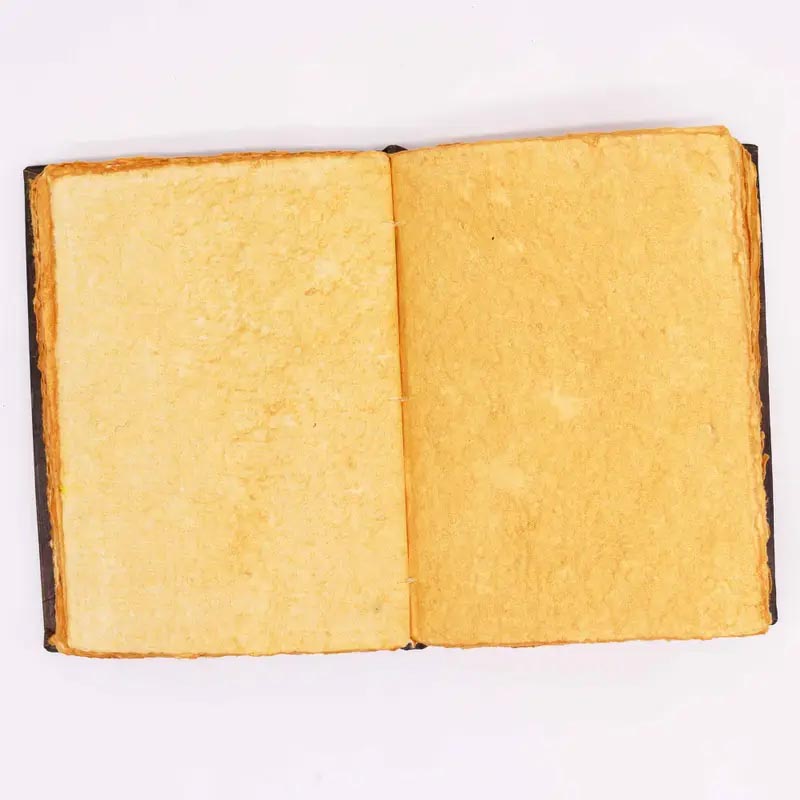 Hefty Red Tan Leather Journal with Zinc Rose (26x18cm)3
