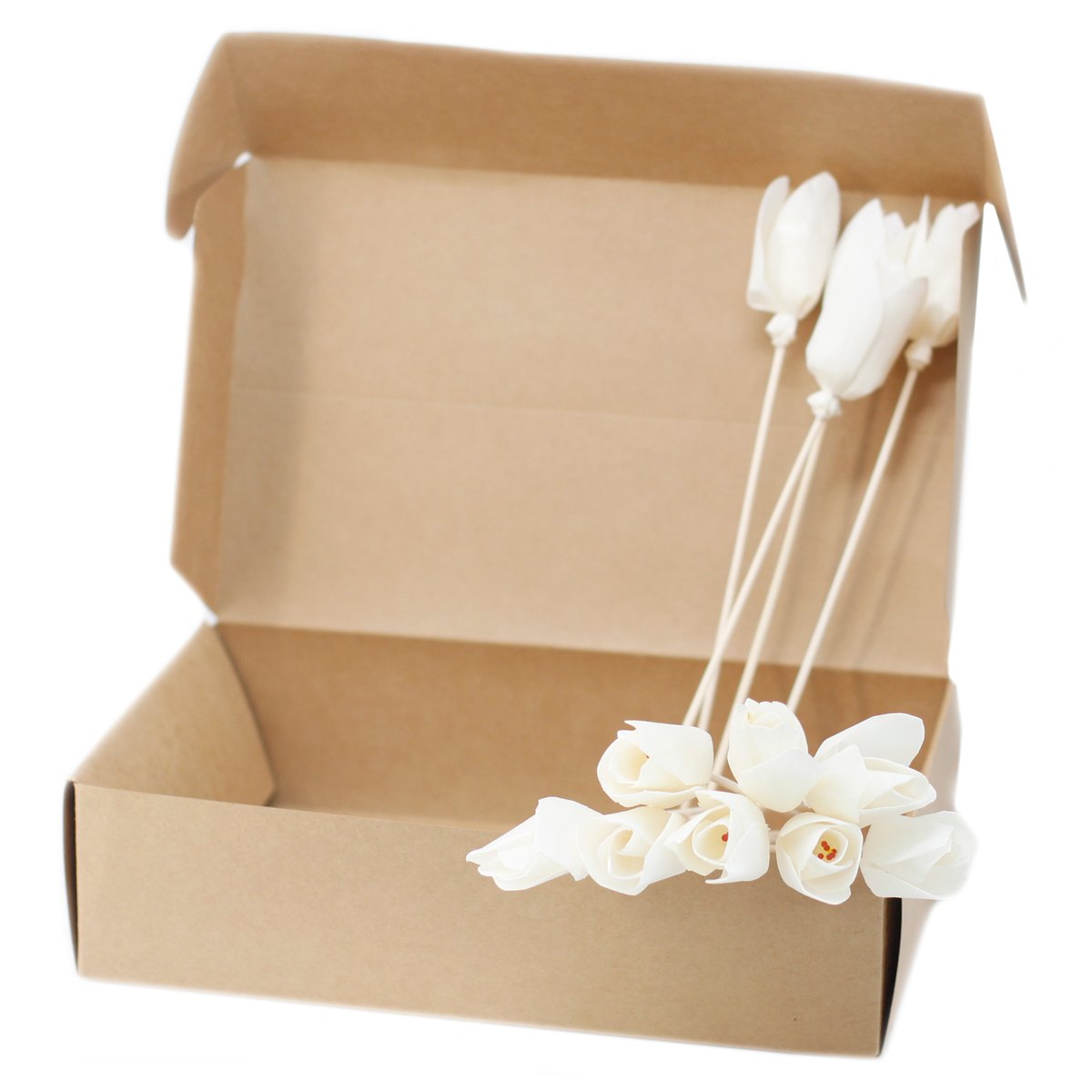 Natural Sola Wood Tulip Diffuser Flowers on Reed (Set of 4)5