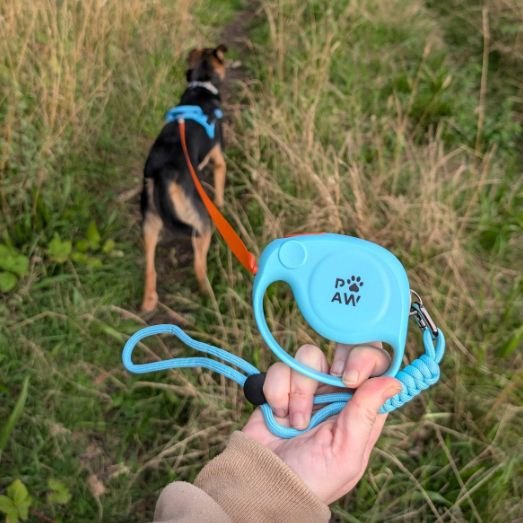 Paw Pet Leash - Elephant Strap Retractable Lead (Blue, 2m)6