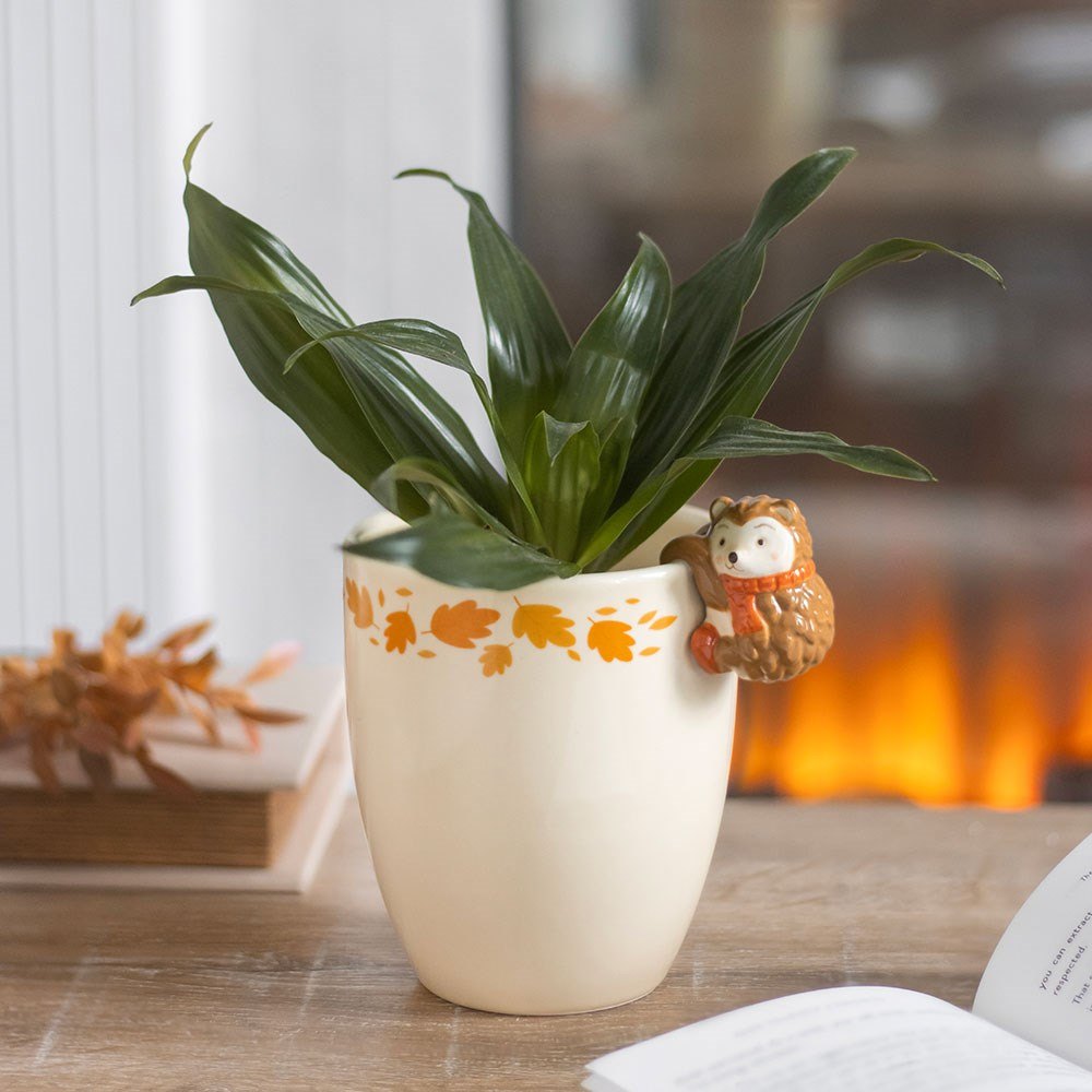 Autumn Ceramic Plant Pot with Hedgehog Design3