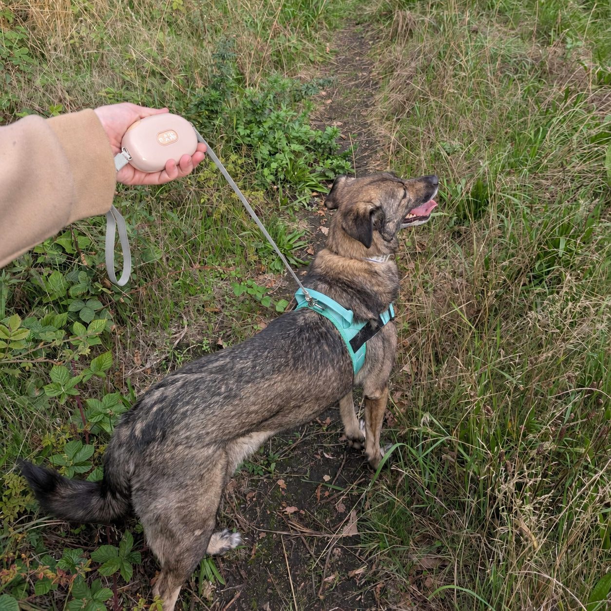 Paw Pet Leash - Pocket Pod Retractable Lead (Pink, 1.5m)7