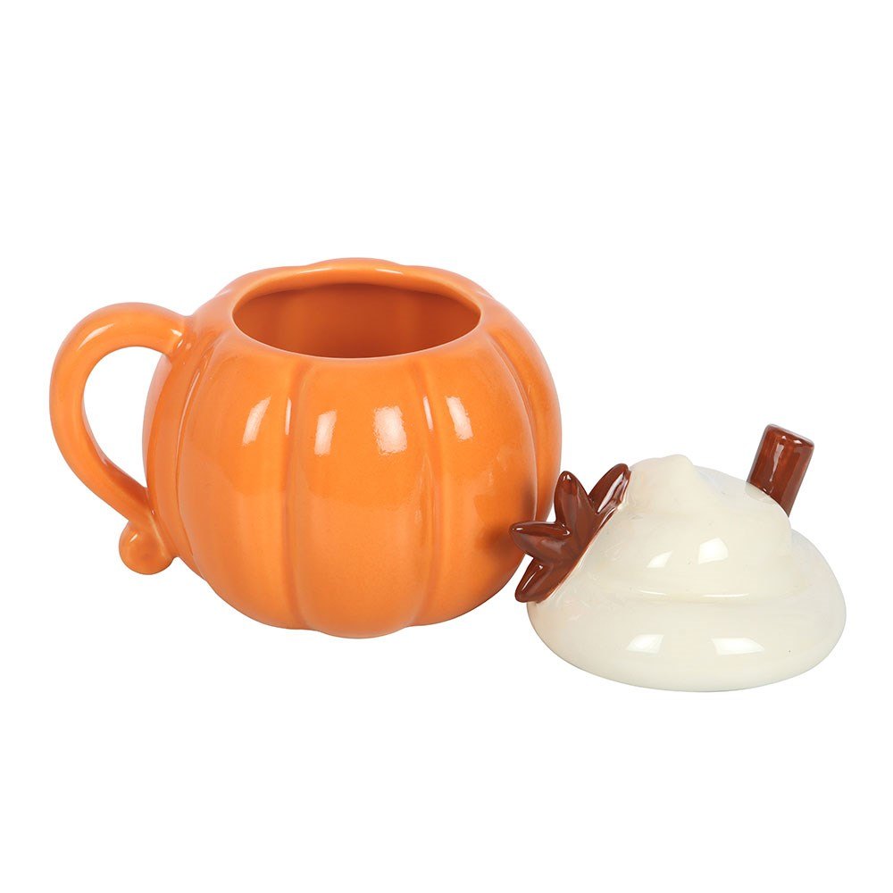Pumpkin Shaped Lidded Ceramic Mug (400ml)2