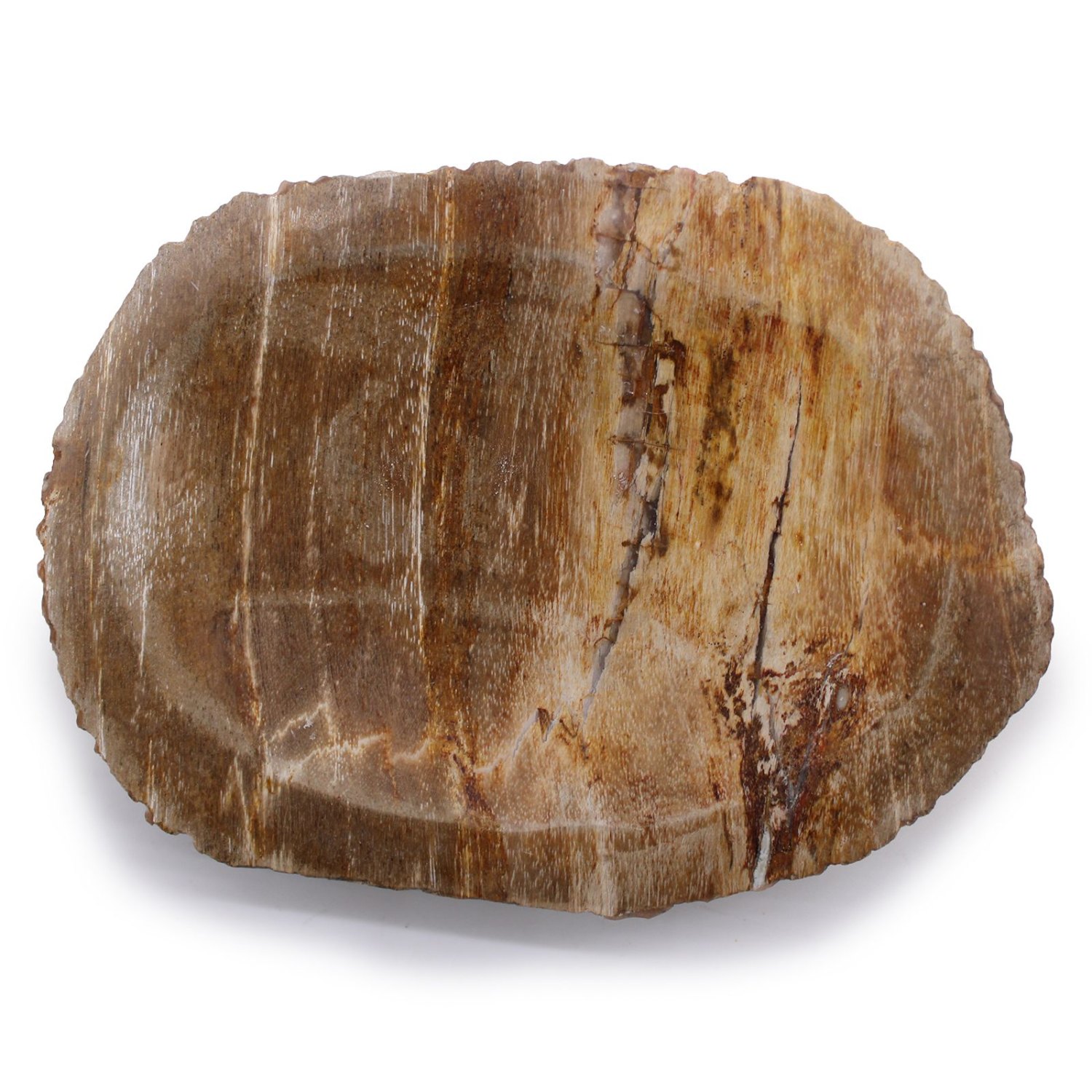 Brown Petrified Wood Soap Dish1