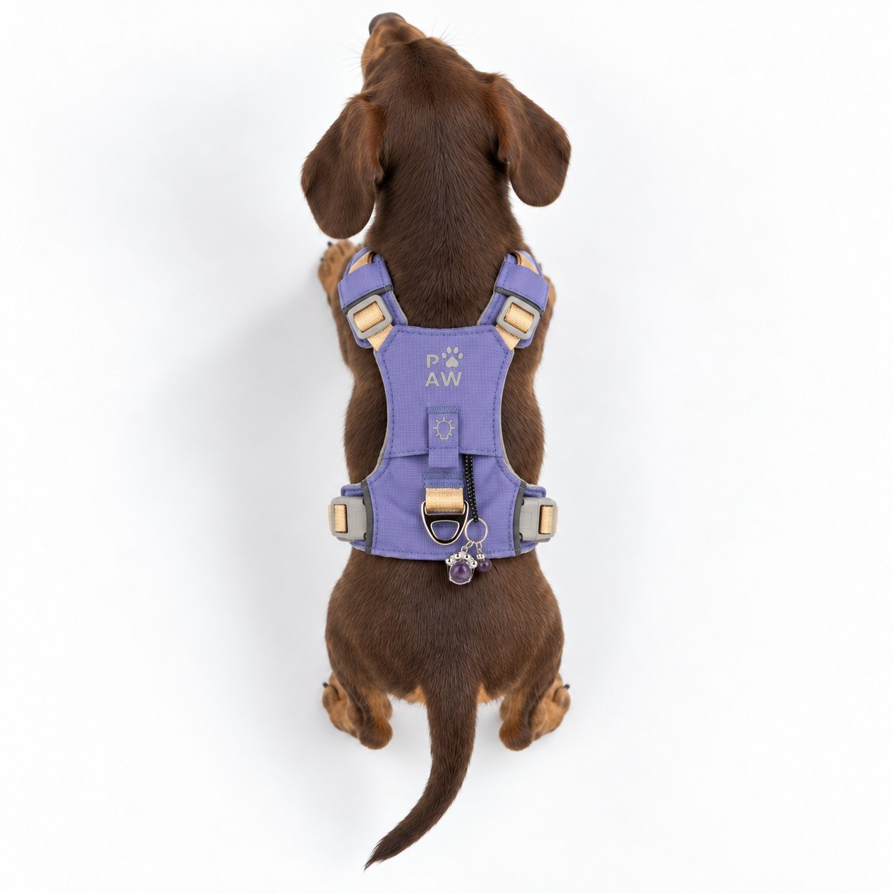 Lavender XS Guardian Dog Harness with Amethyst Charm10