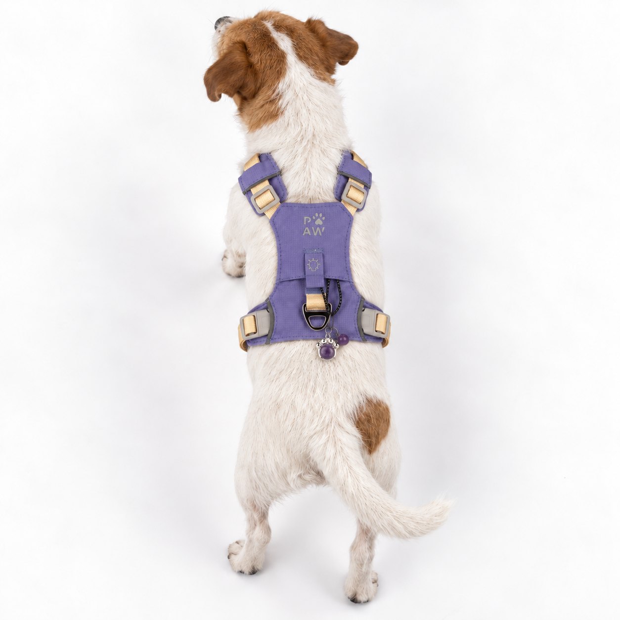 Lavender S Guardian Dog Harness with Amethyst Charm10