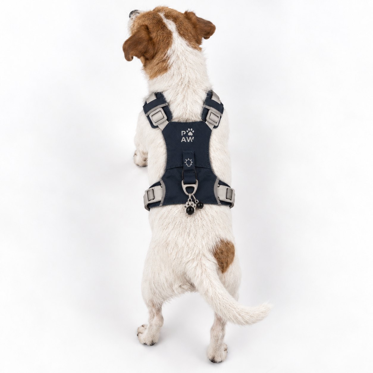 Rock Grey S Guardian Dog Harness with Black Obsidian Charm9