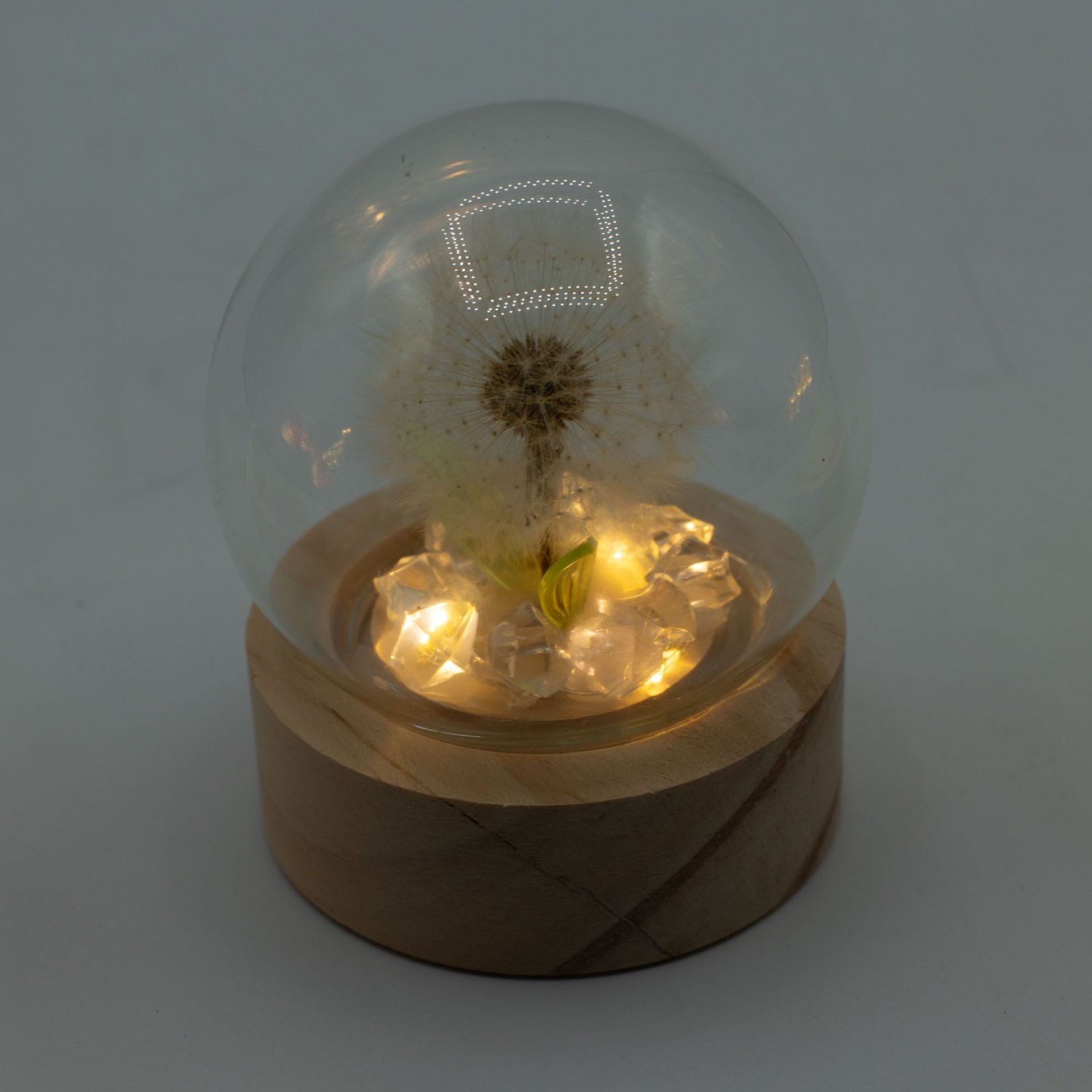 Floral Glow Single Dandelion LED Glass Dome1