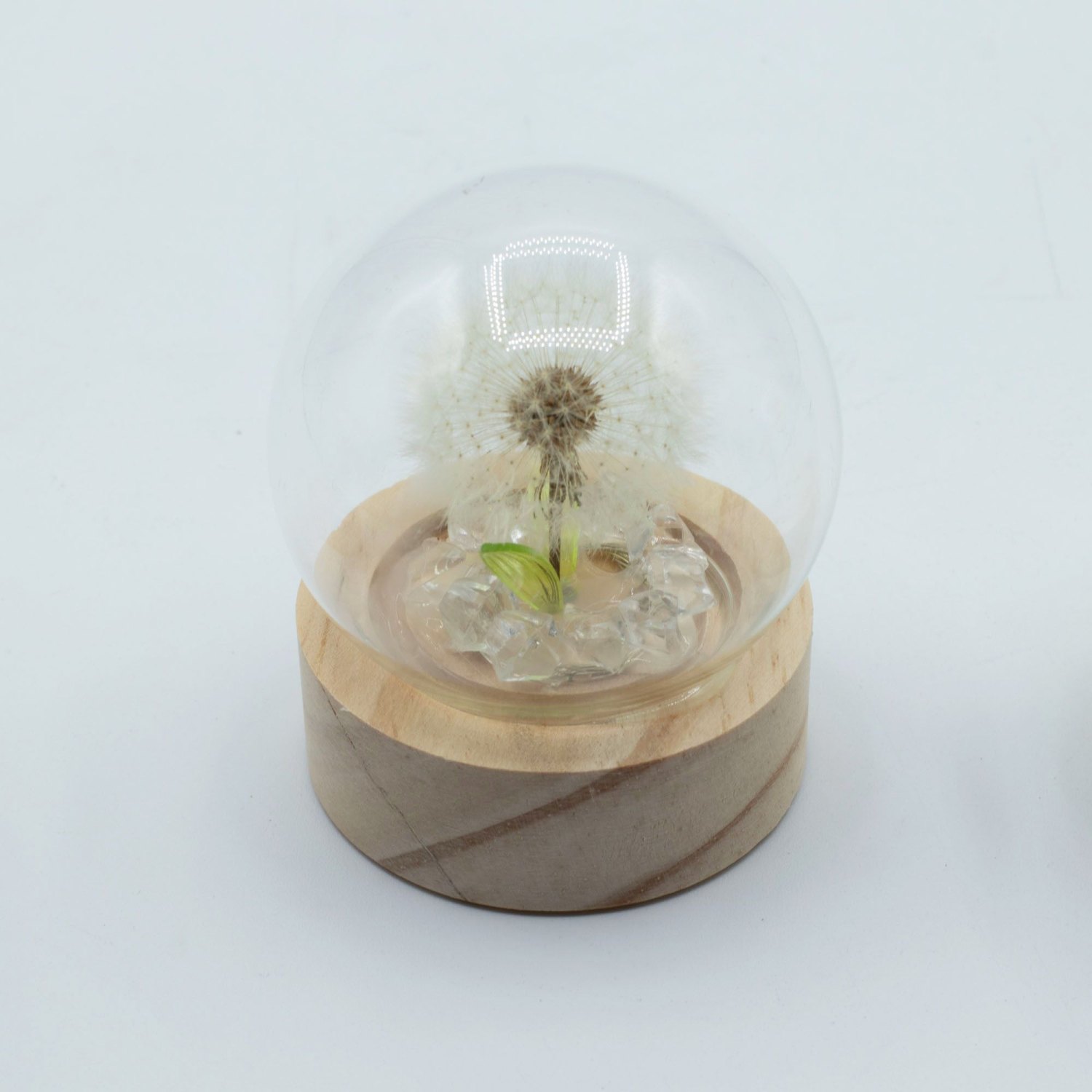Floral Glow Single Dandelion LED Glass Dome2
