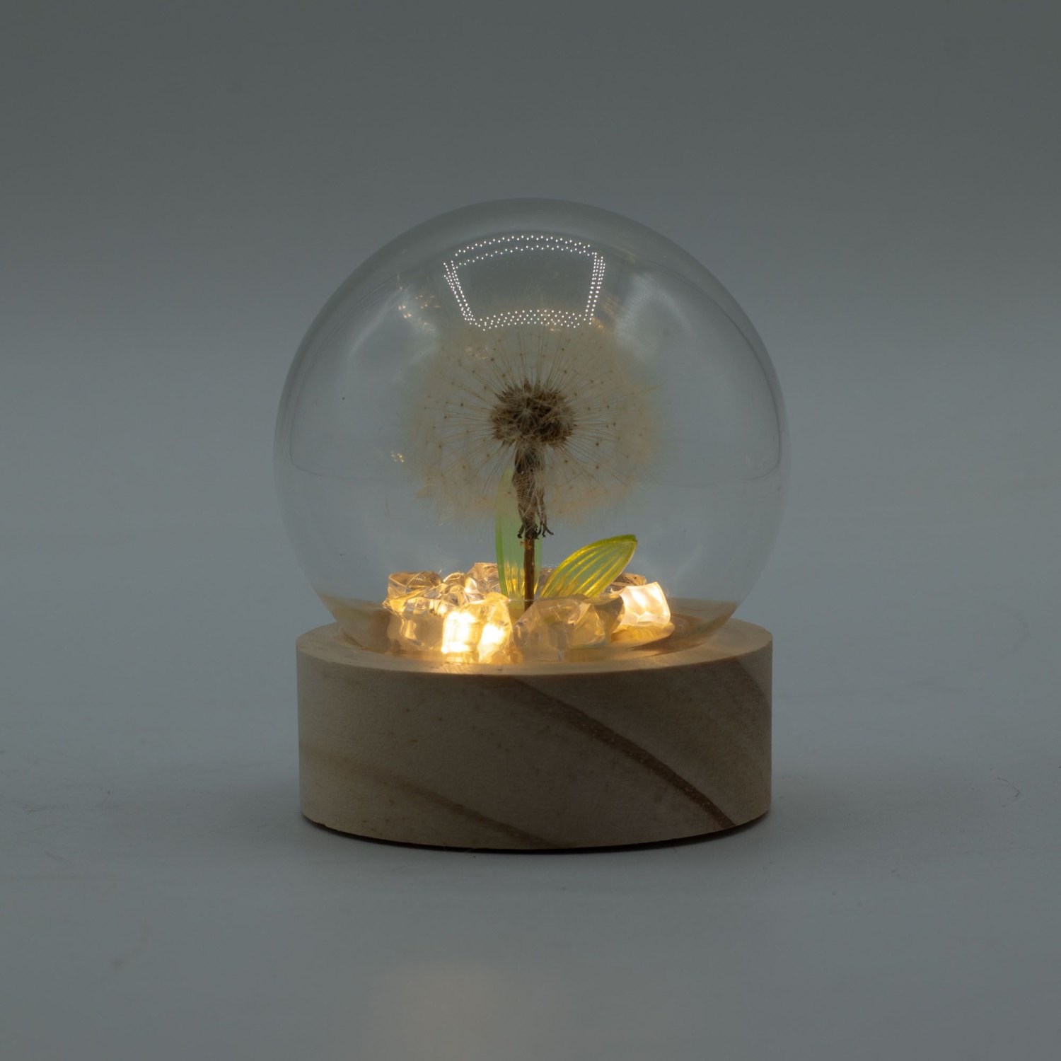 Floral Glow Single Dandelion LED Glass Dome3