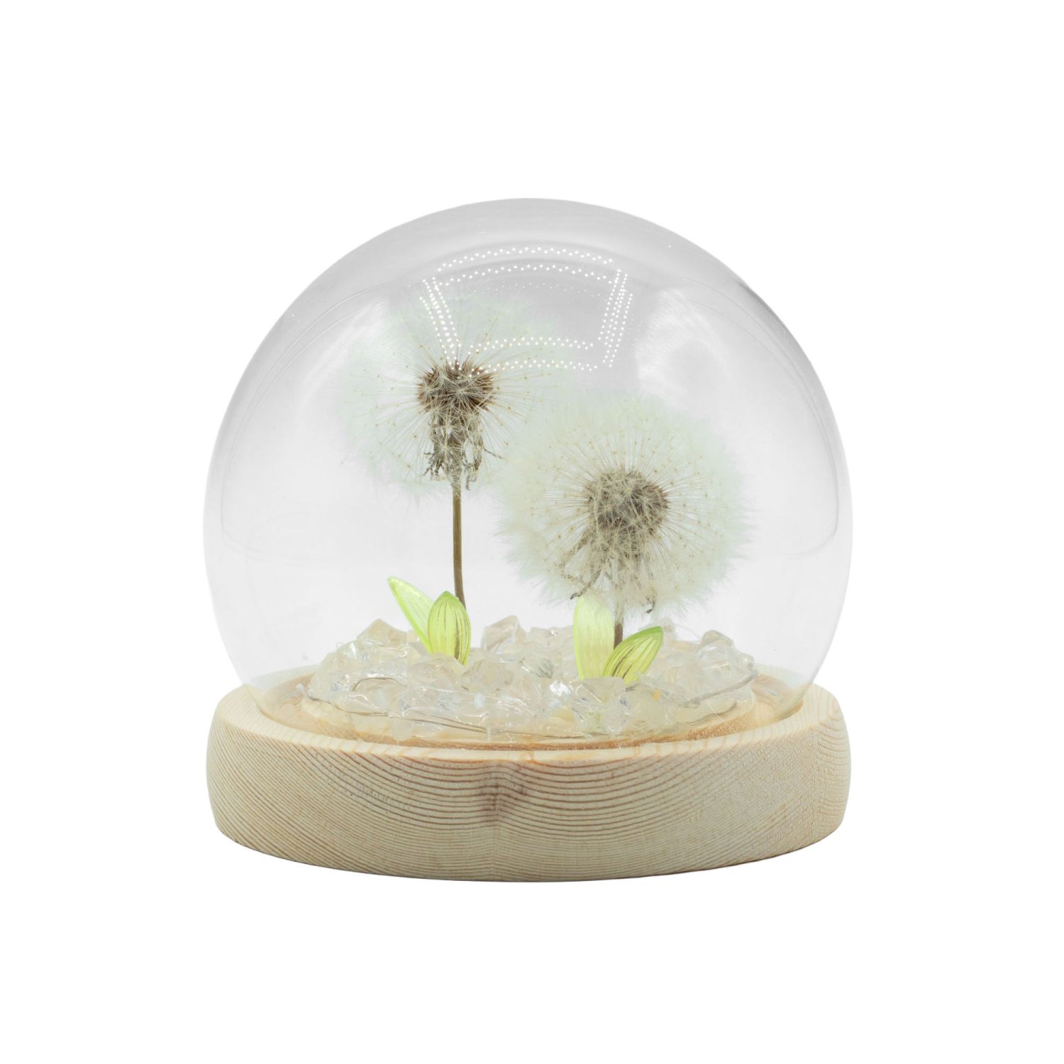 Floral Glow Double Dandelion USB LED Glass Dome