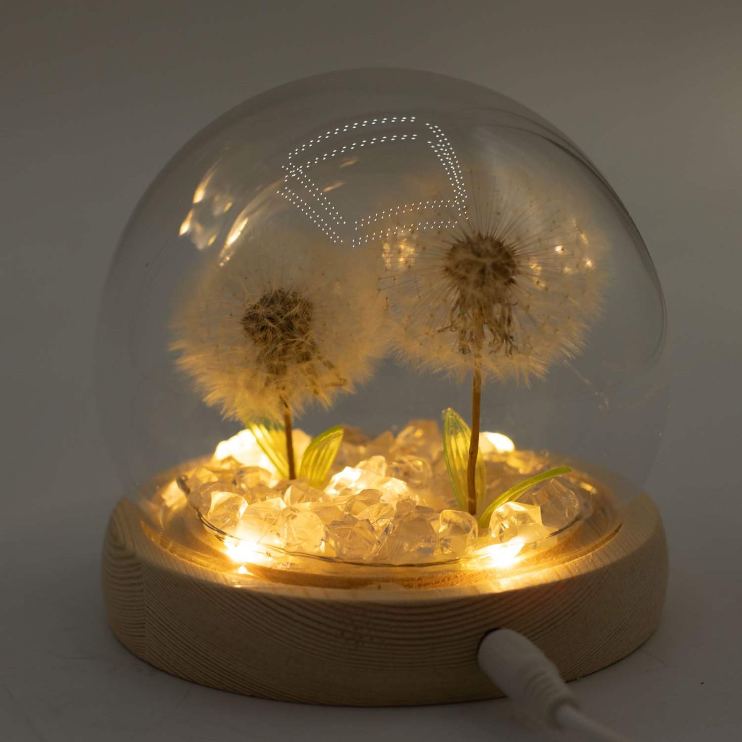 Floral Glow Double Dandelion USB LED Glass Dome1