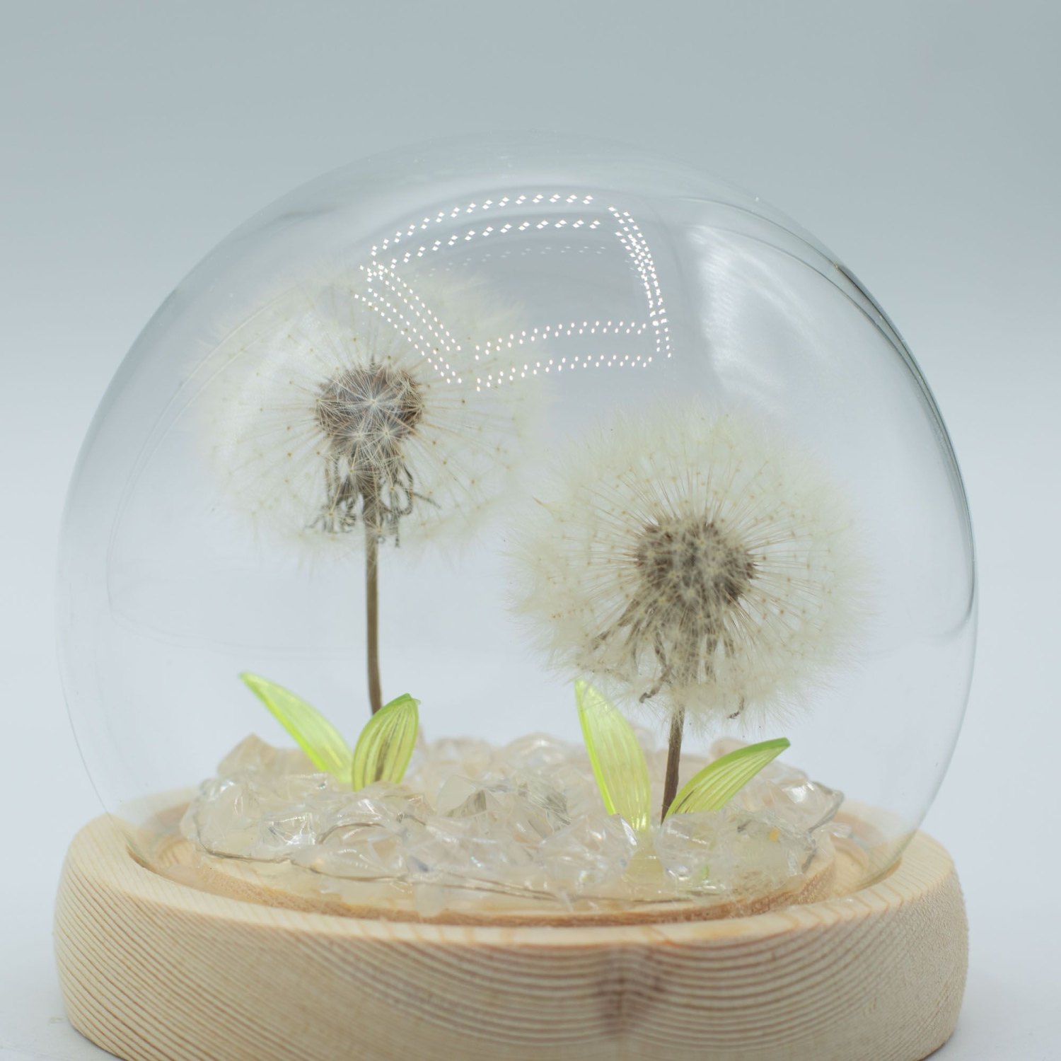 Floral Glow Double Dandelion USB LED Glass Dome2