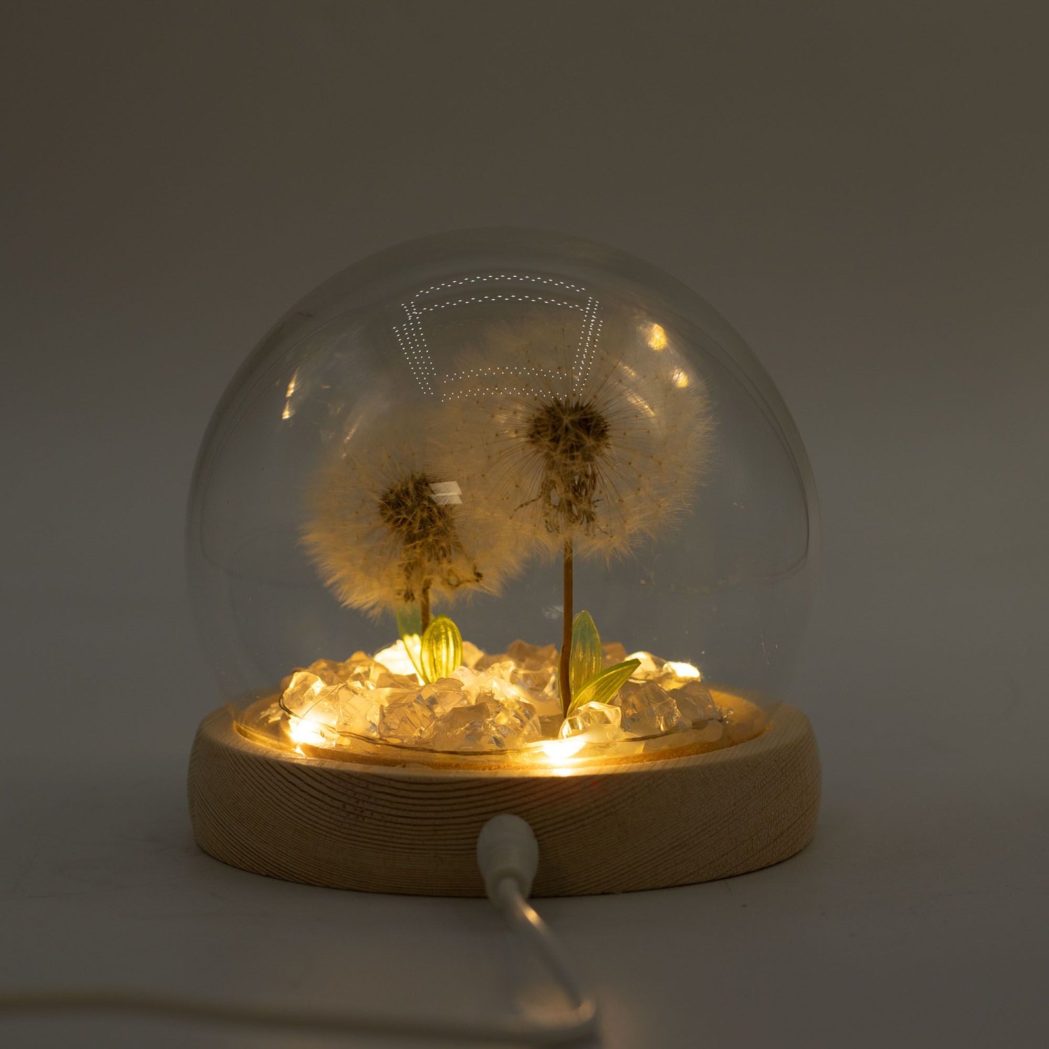 Floral Glow Double Dandelion USB LED Glass Dome3