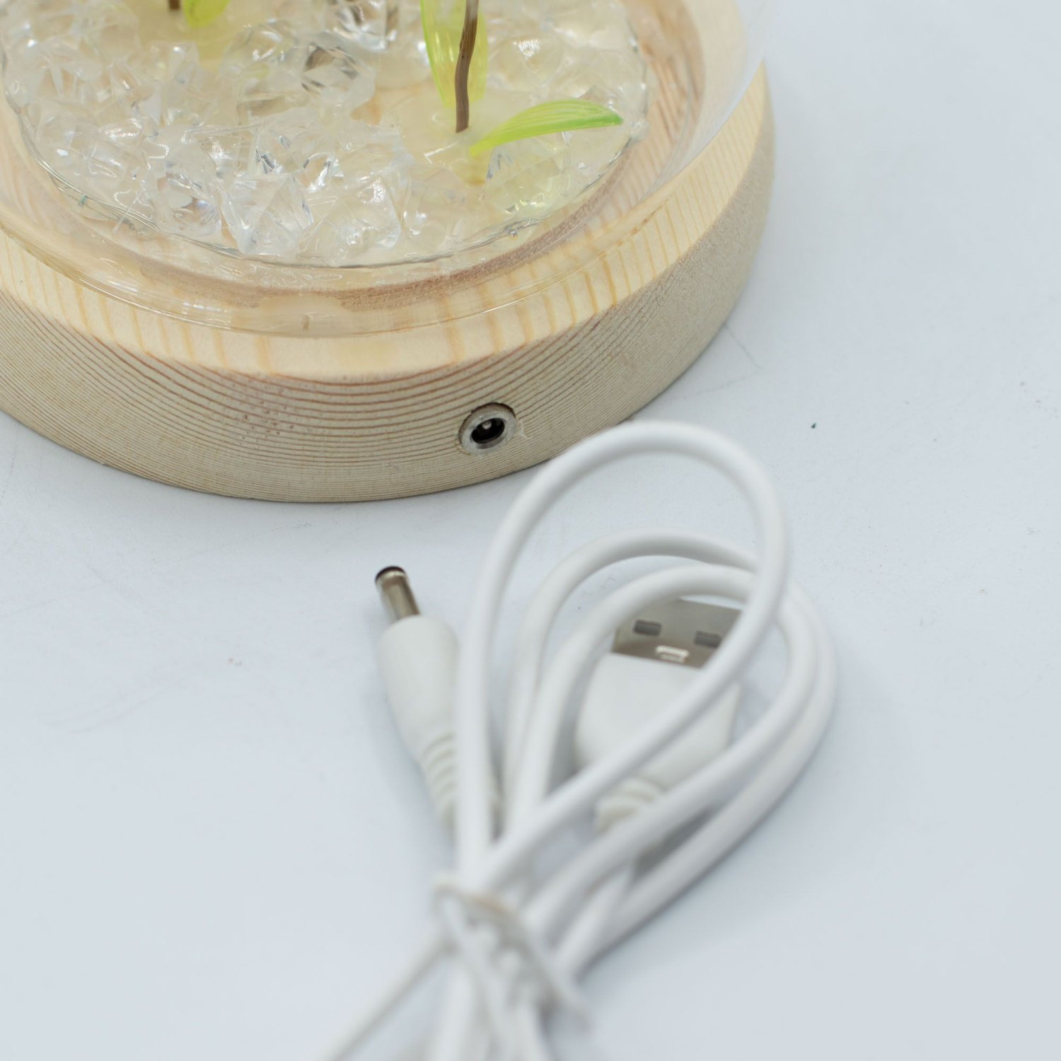 Floral Glow Double Dandelion USB LED Glass Dome4