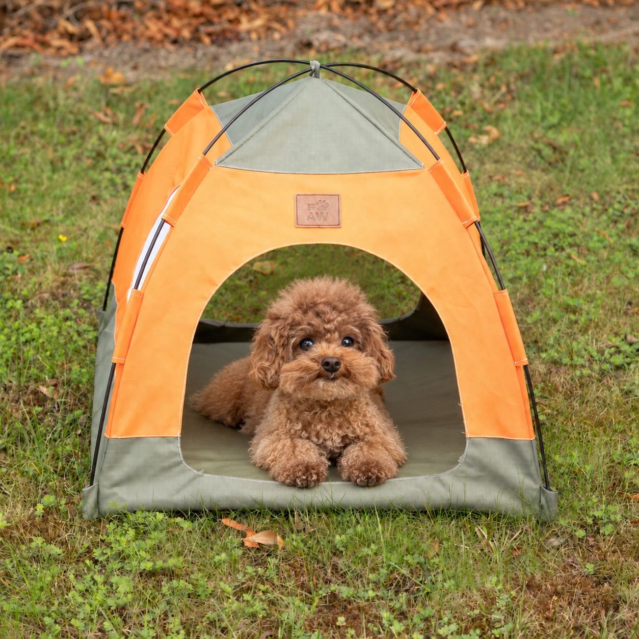 PAW Green & Orange Tent Pet Bed – 48 × 48 × 40cm1