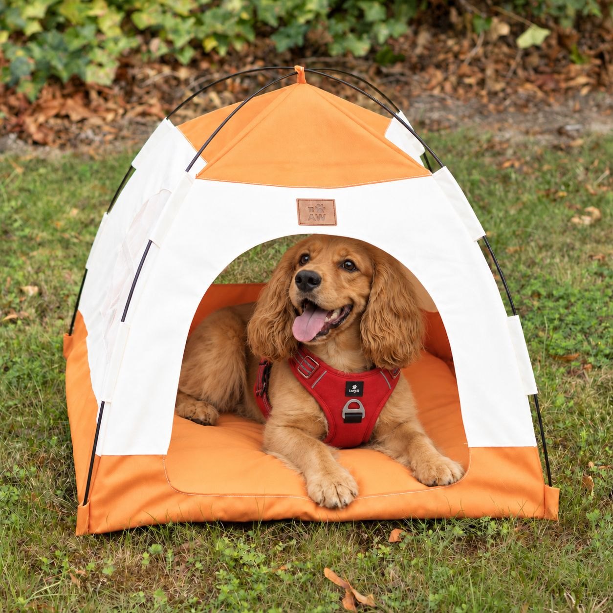 PAW Beige & Orange Tent Pet Bed – 58 × 58 × 48cm1
