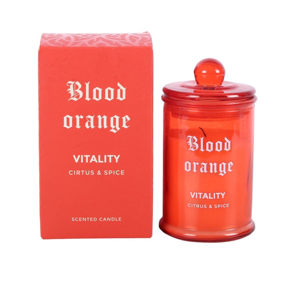 Blood Orange Citrus & Spice Scented Candle – Vitality