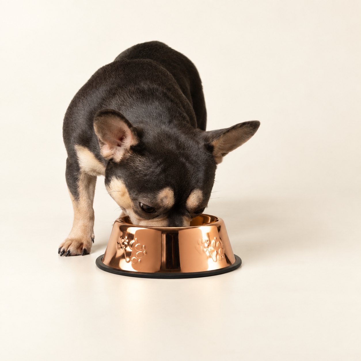 PAW Copper-Style 304 Stainless Steel Pet Bowl - 18cm1