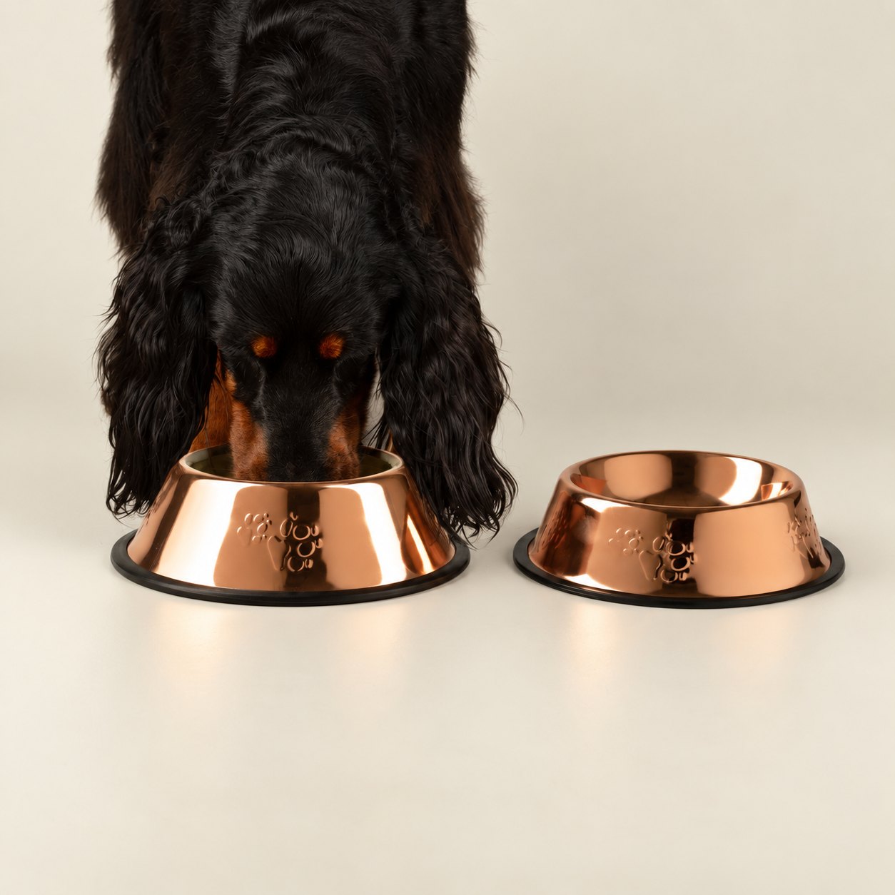 PAW Copper-Style 304 Stainless Steel Pet Bowl – 22cm3