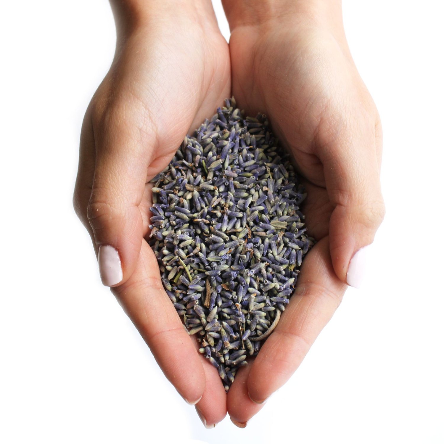 Dried Lavender Flowers – 1kg2