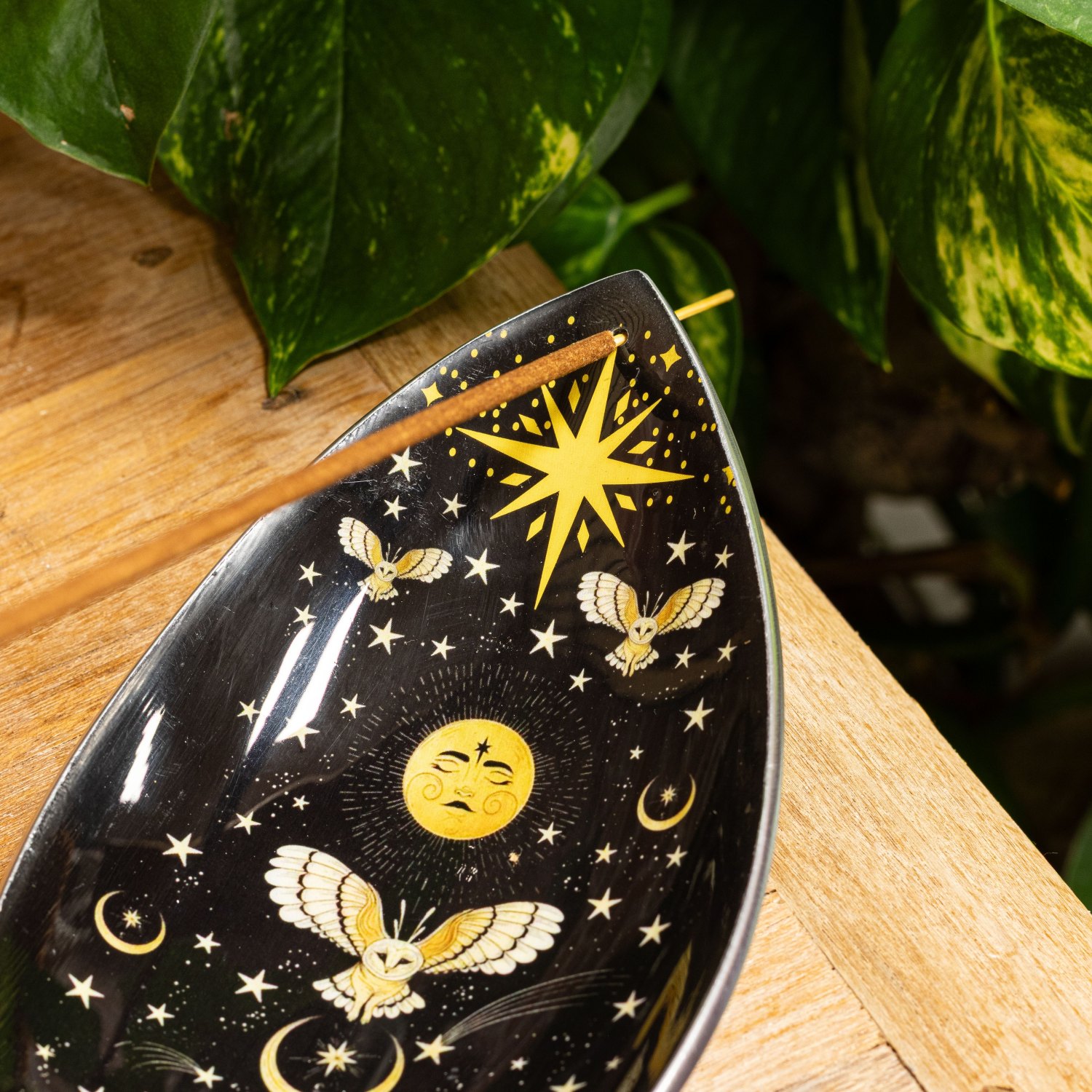 Enchanted Night Owl Aluminium Enamel Incense Bowl4