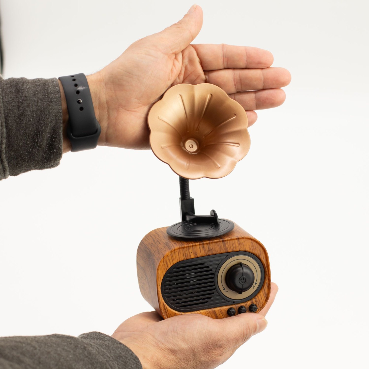Retro Mini Gramophone Bluetooth Speaker & FM Radio – 5W4