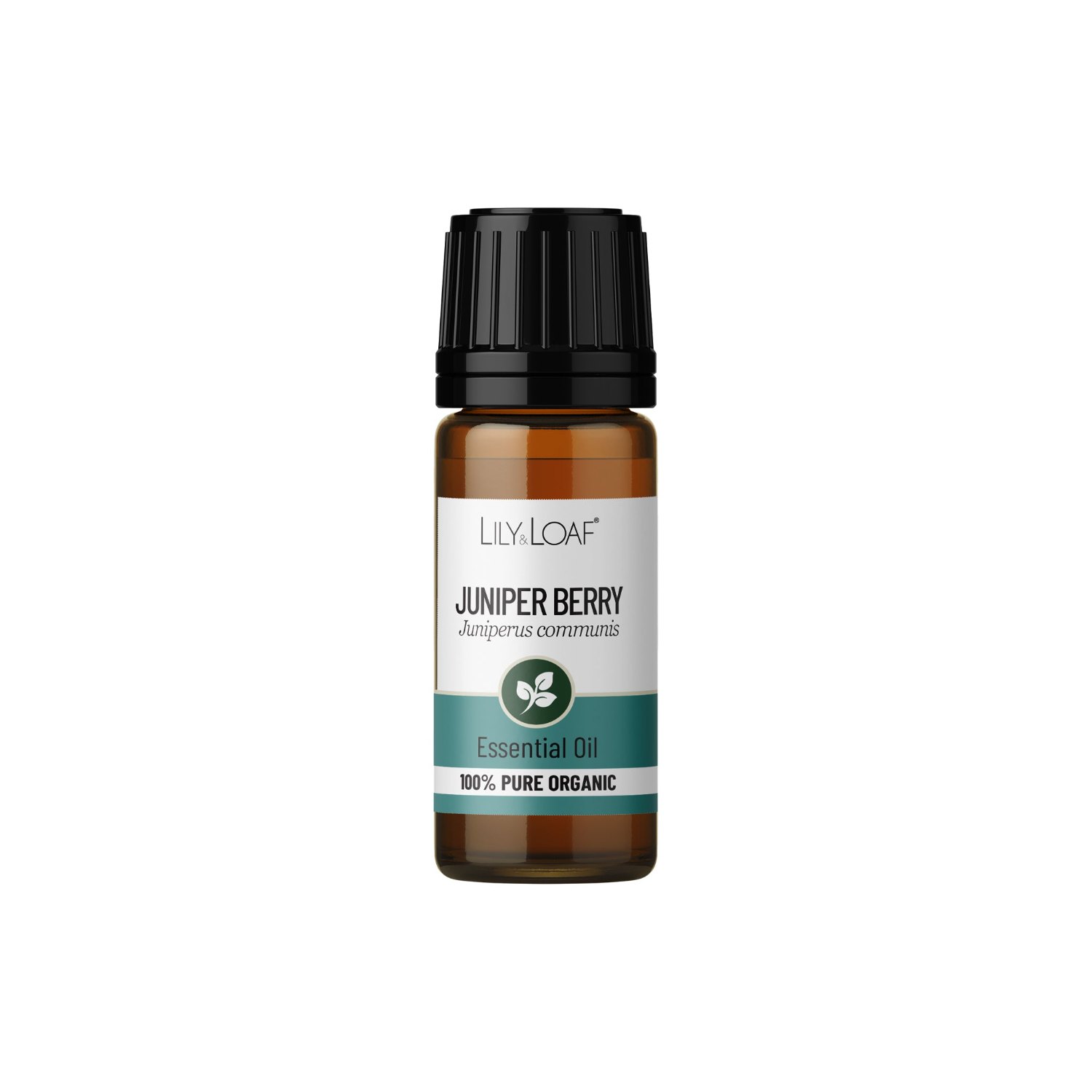 Lily & Loaf Organic Juniper Berry Essential Oil – 10ml1