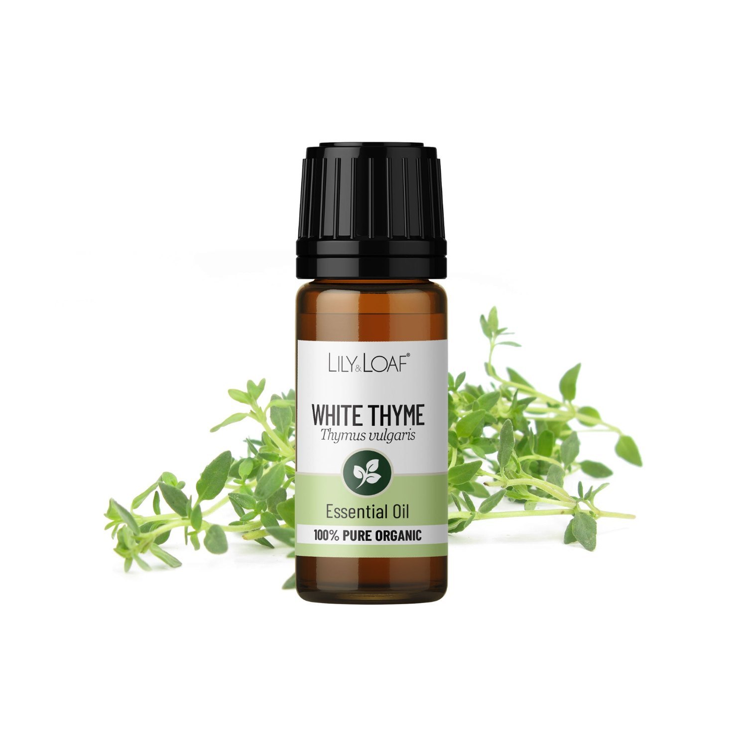Lily & Loaf Organic White Thyme Essential Oil – 10ml