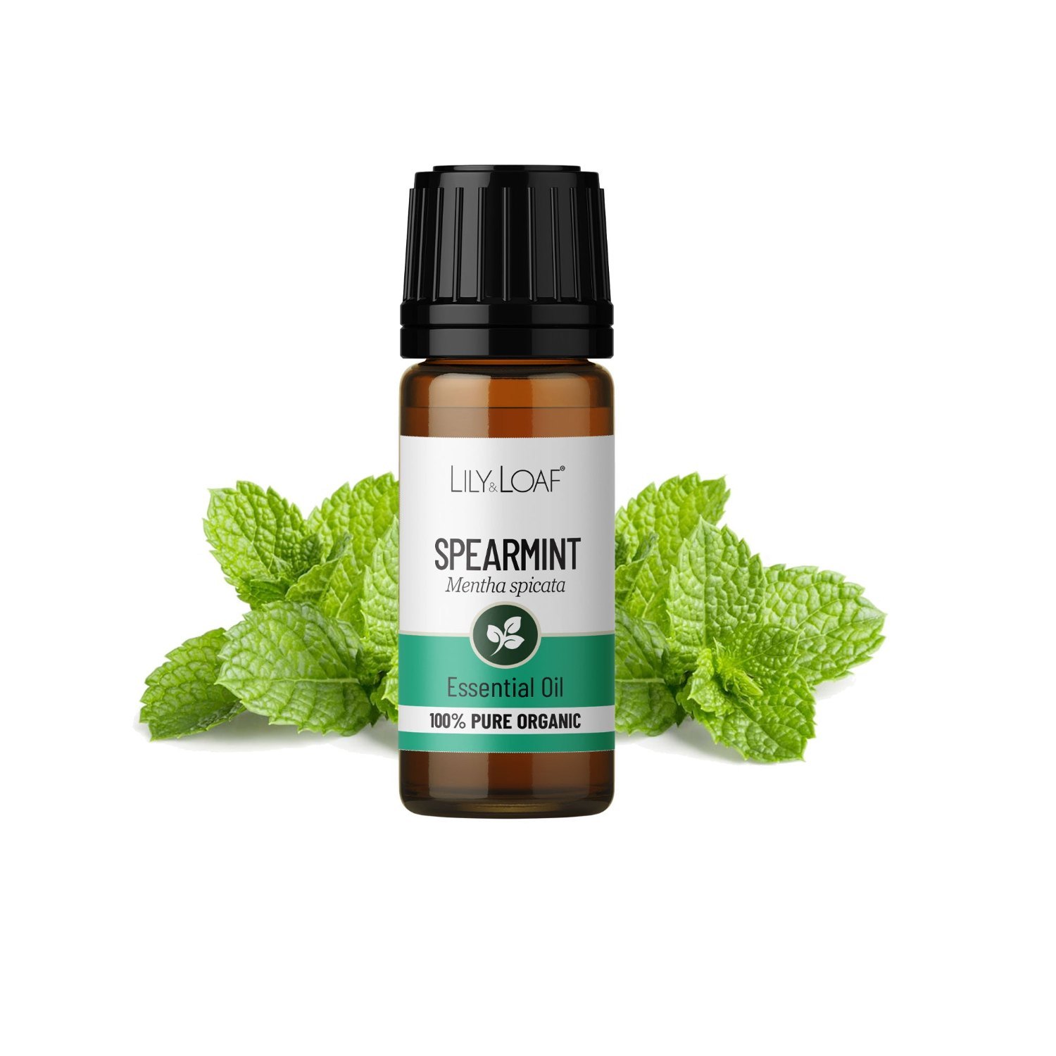Lily & Loaf Organic Spearmint Essential Oil – 10ml