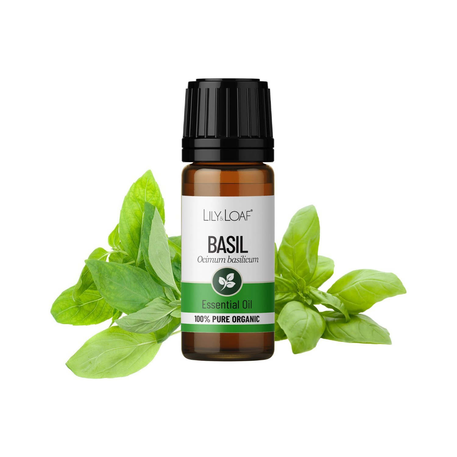 Lily & Loaf Organic Basil Essential Oil – 10ml