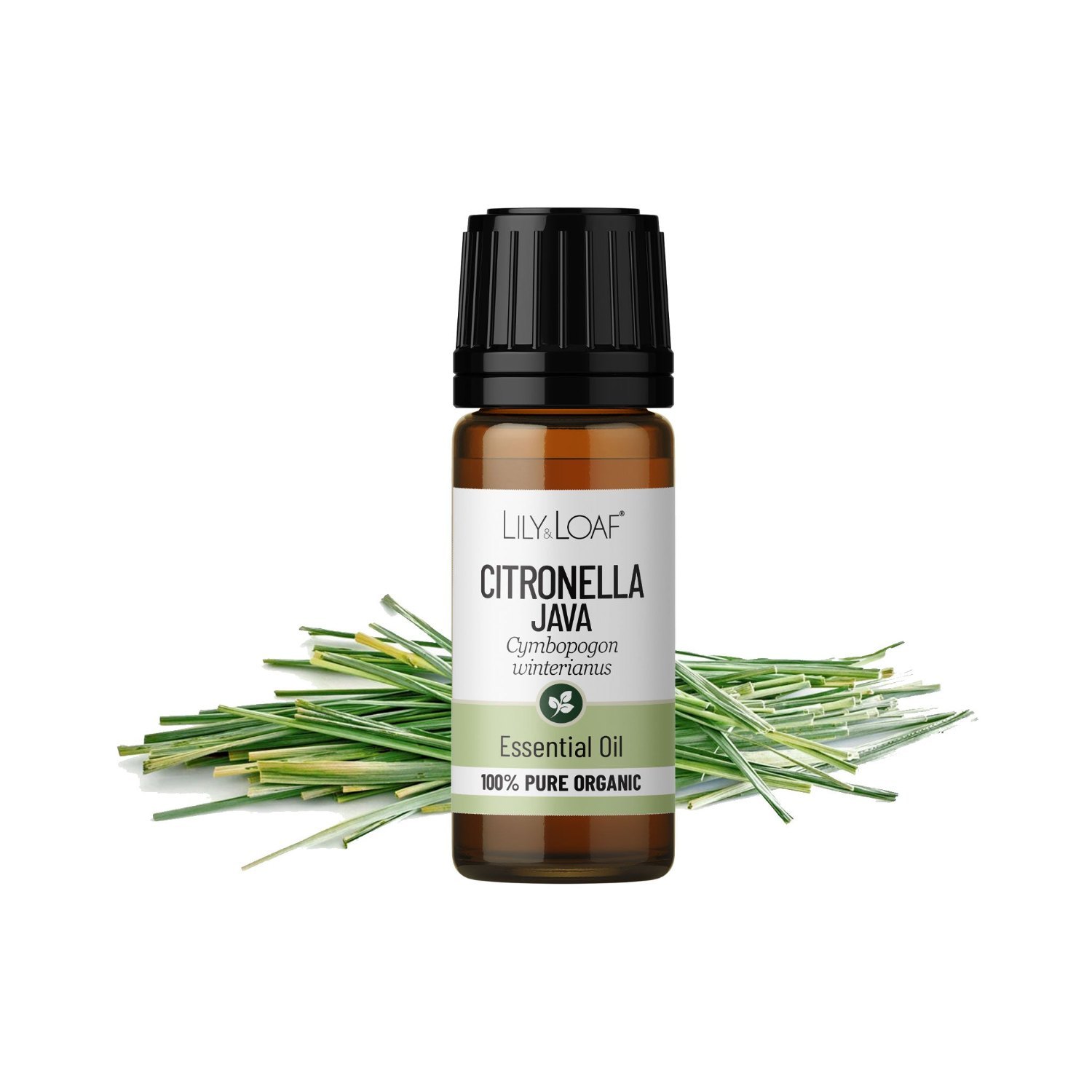 Lily & Loaf Organic Citronella Essential Oil – 10ml