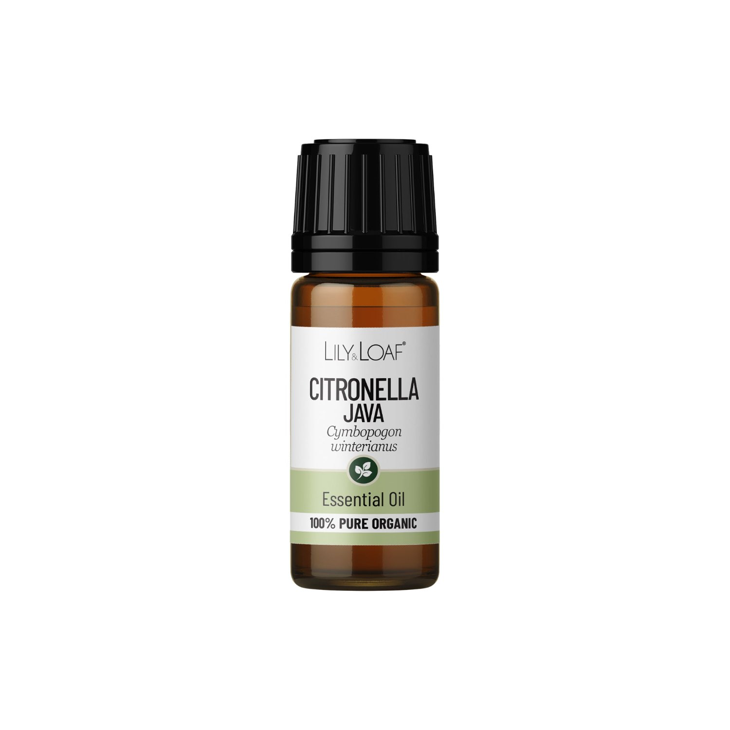 Lily & Loaf Organic Citronella Essential Oil – 10ml1