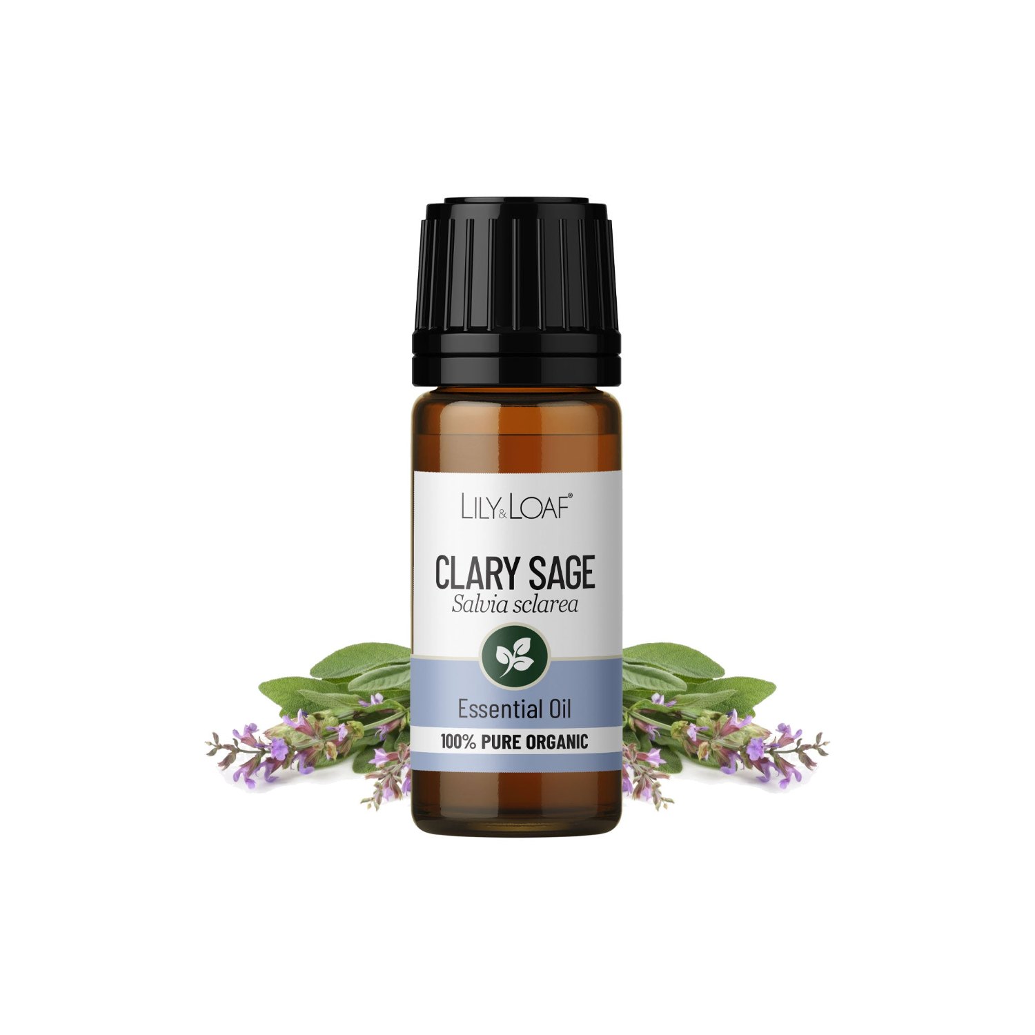 Lily & Loaf Organic Clary Sage Essential Oil – 10ml