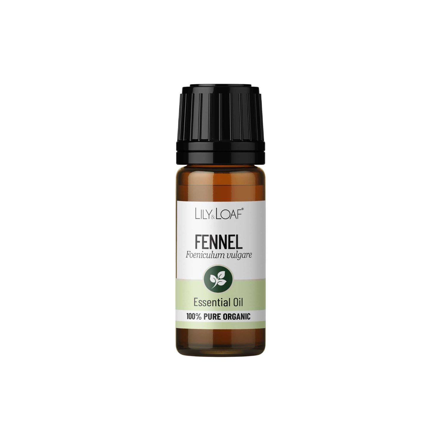 Lily & Loaf Organic Fennel Essential Oil – 10ml1