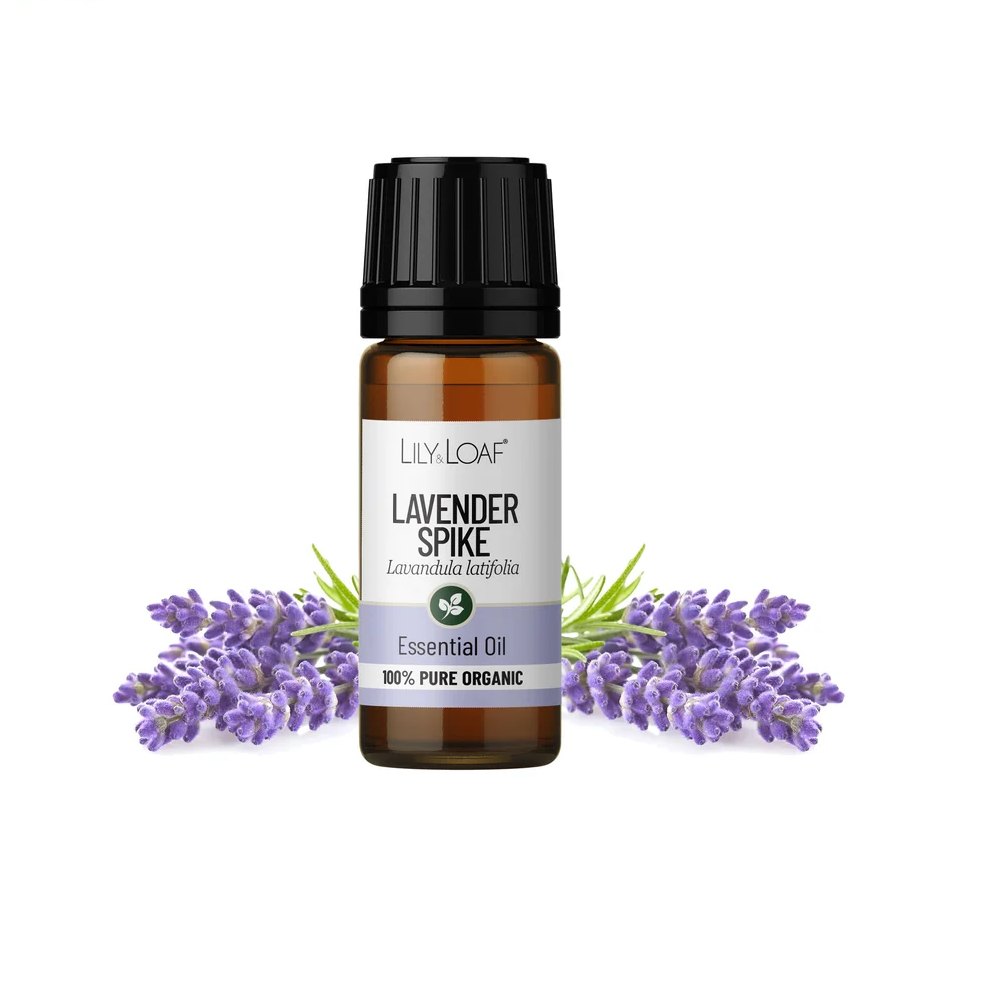Lily & Loaf Organic Spike Lavender Essential Oil – 10ml