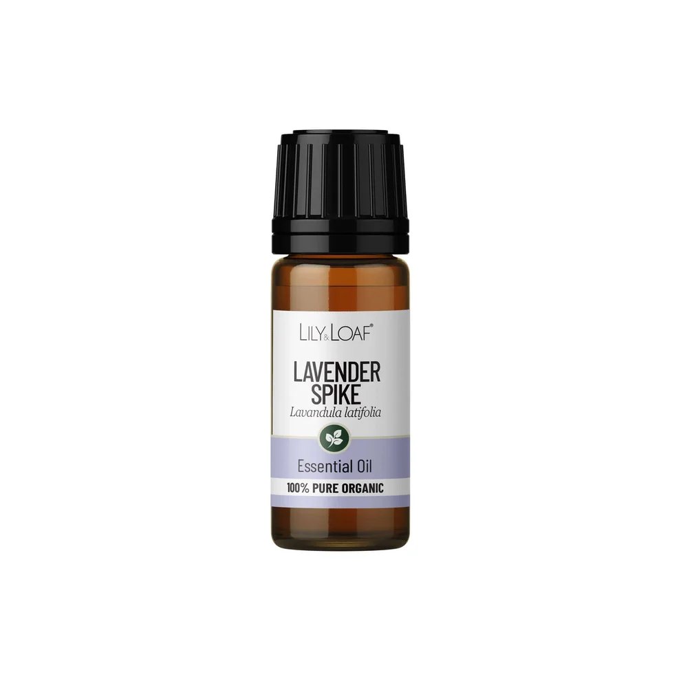 Lily & Loaf Organic Spike Lavender Essential Oil – 10ml1