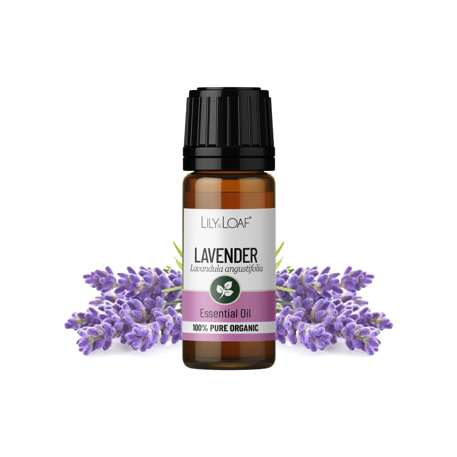 Lily & Loaf Organic Lavender Essential Oil – 10ml