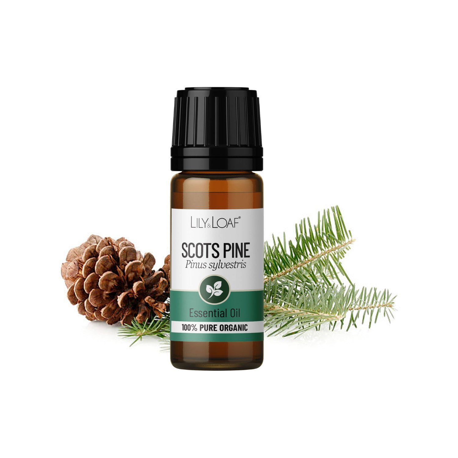 Lily & Loaf Organic Scots Pine Essential Oil – 10ml