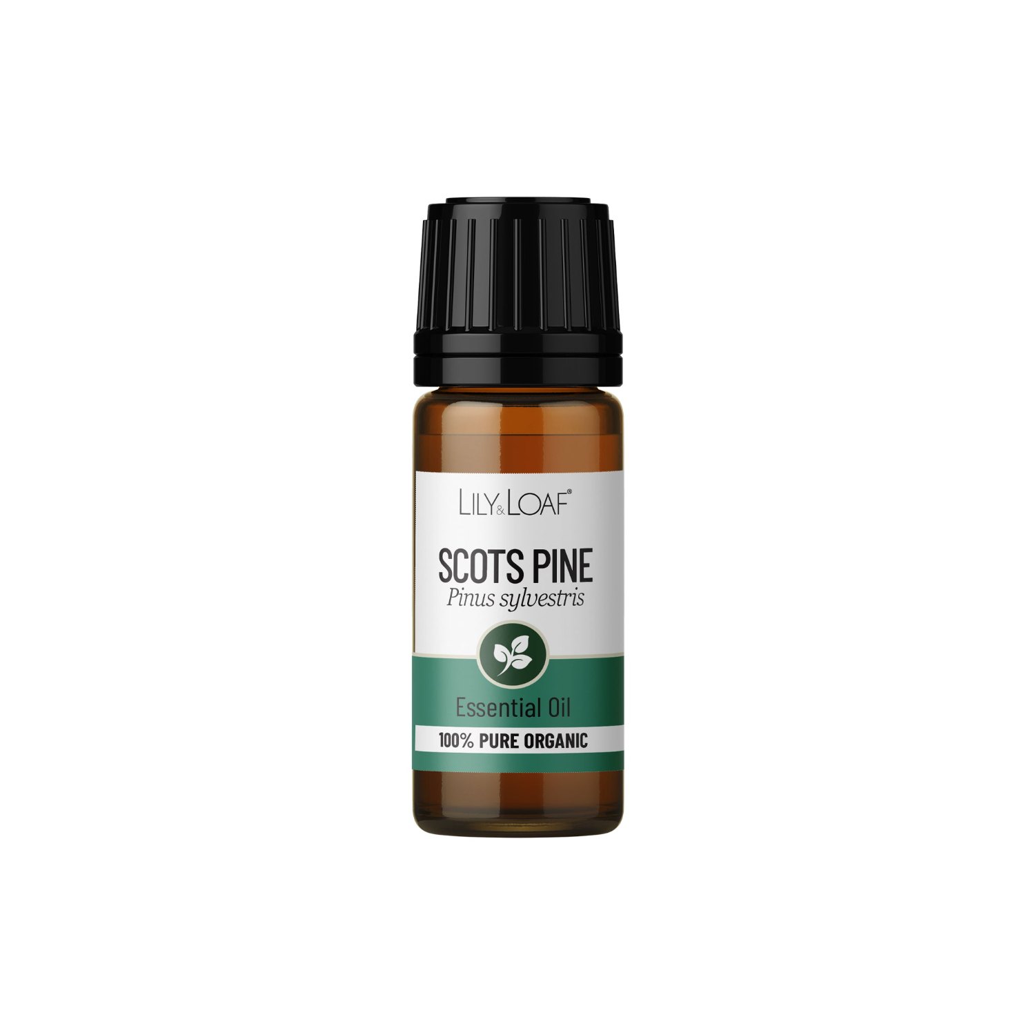 Lily & Loaf Organic Scots Pine Essential Oil – 10ml1