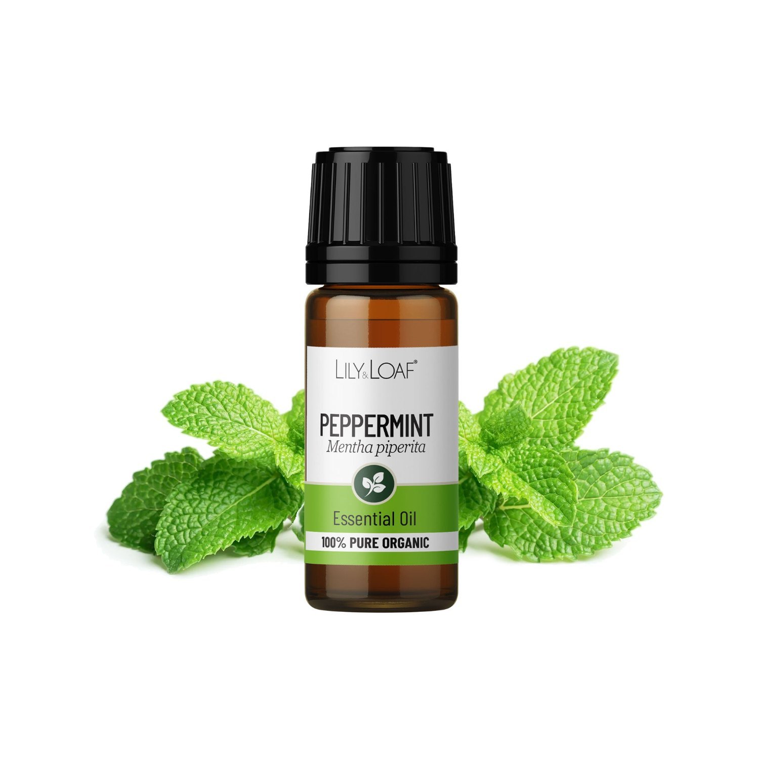Lily & Loaf Organic Peppermint Essential Oil – 10ml