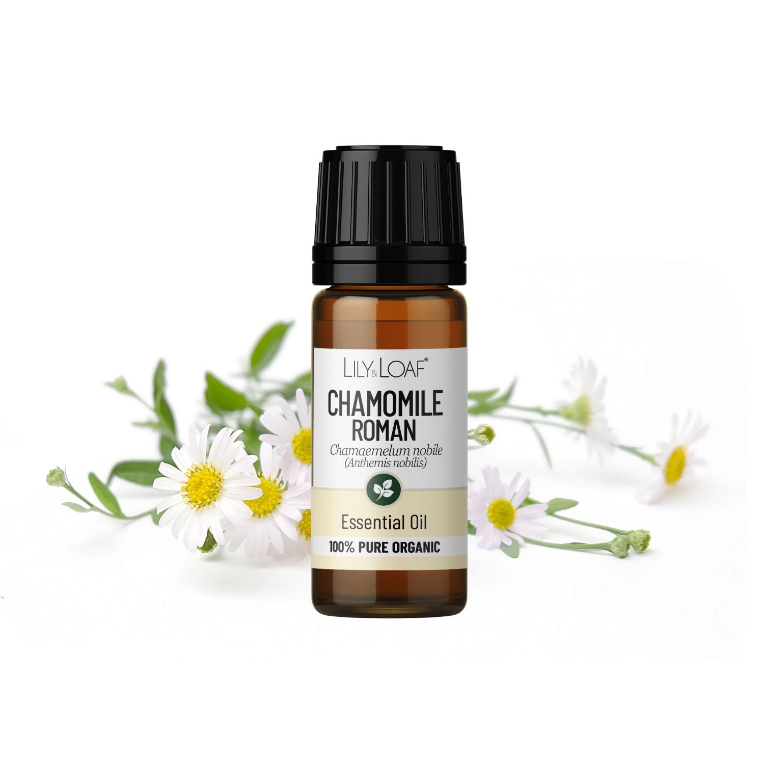 Lily & Loaf Organic Roman Chamomile Essential Oil – 10ml