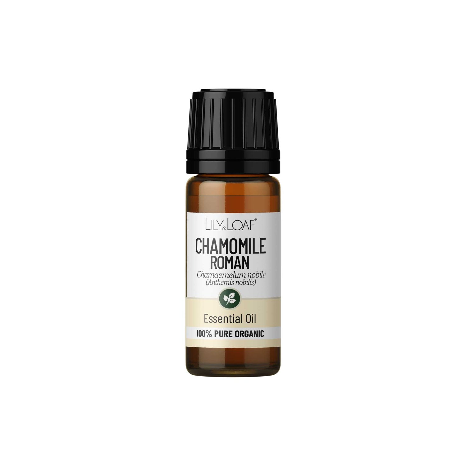 Lily & Loaf Organic Roman Chamomile Essential Oil – 10ml1