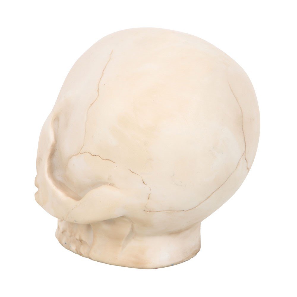 Skull & Snake Gothic Ornament2