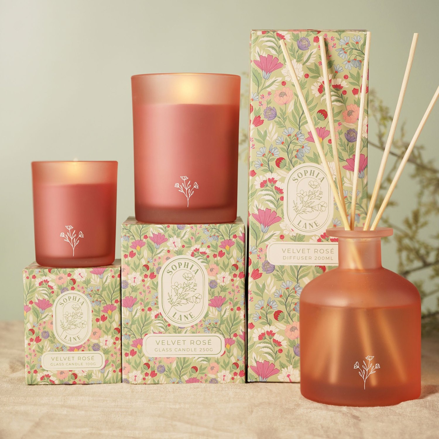 Sophia Lane Velvet Rose Scented Candle 250g6